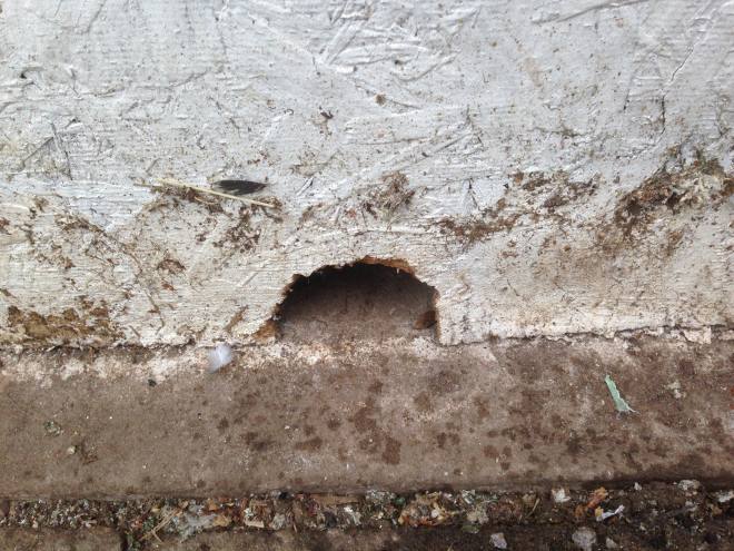 rat bait holder made from junk : 7 steps - instructables